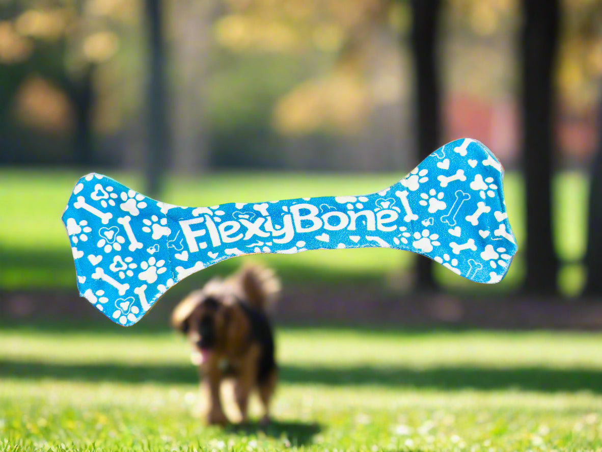Blue dog toy with 'FlexyBone' pattern on a wooden floor